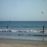Pelikan am Coronado Beach