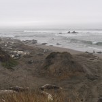 Küste entlang der CA 1